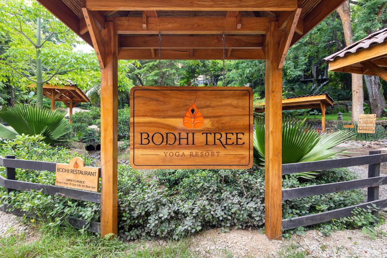 Bodhi Tree Yoga Resort Nosara Exterior foto