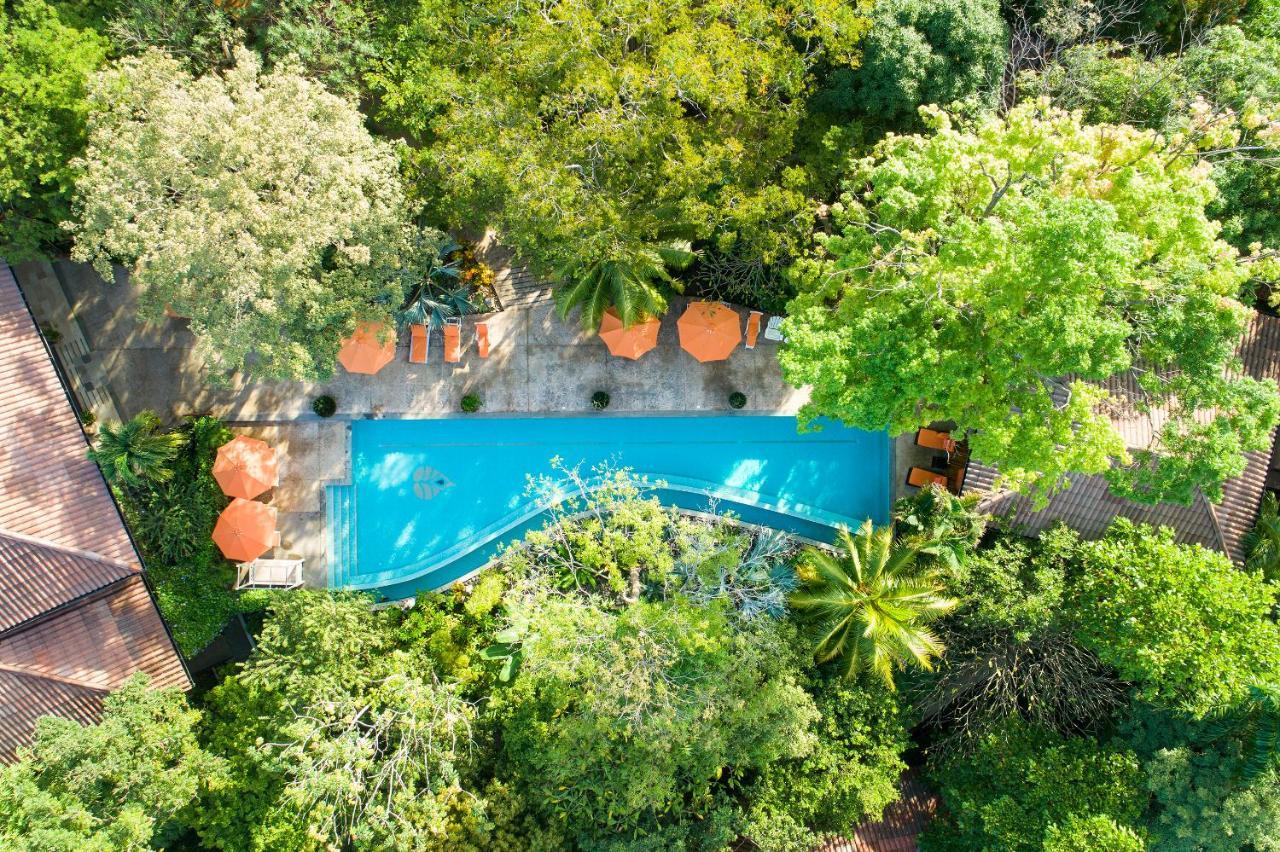 Bodhi Tree Yoga Resort Nosara Exterior foto